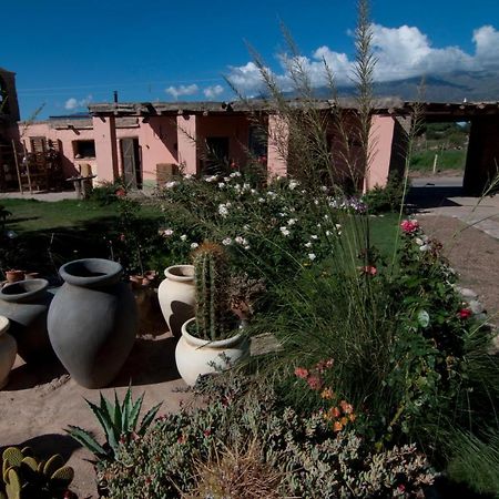 Finca Huayrapuca Famatina Luaran gambar