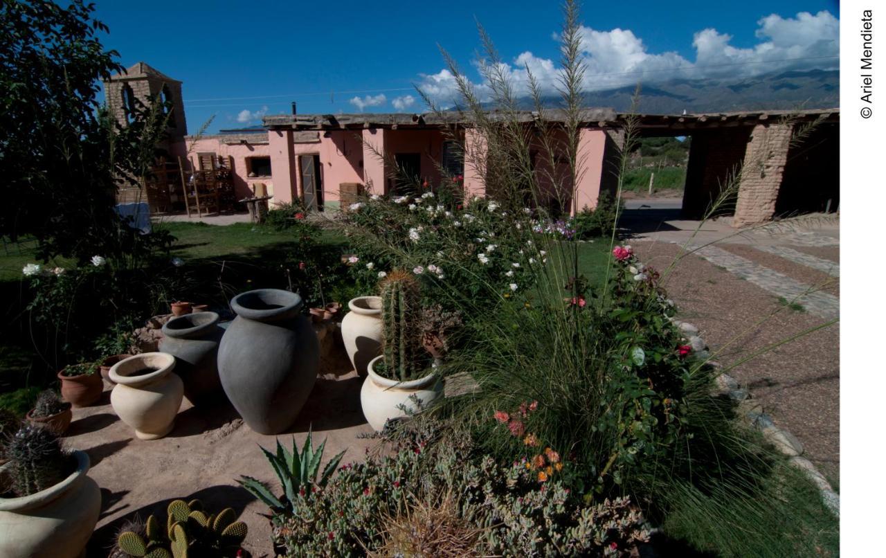 Finca Huayrapuca Famatina Luaran gambar