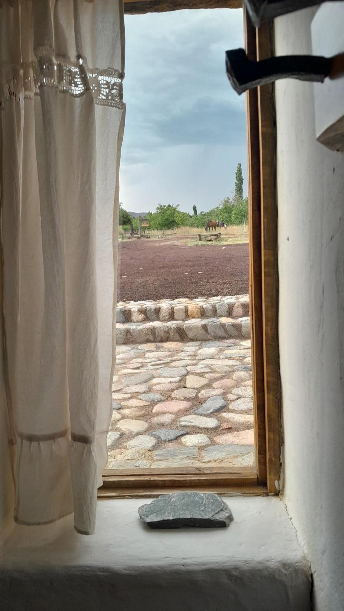 Finca Huayrapuca Famatina Luaran gambar